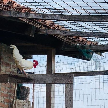 Agriturismo Cascina Smeralda Villa Pontestura Екстериор снимка
